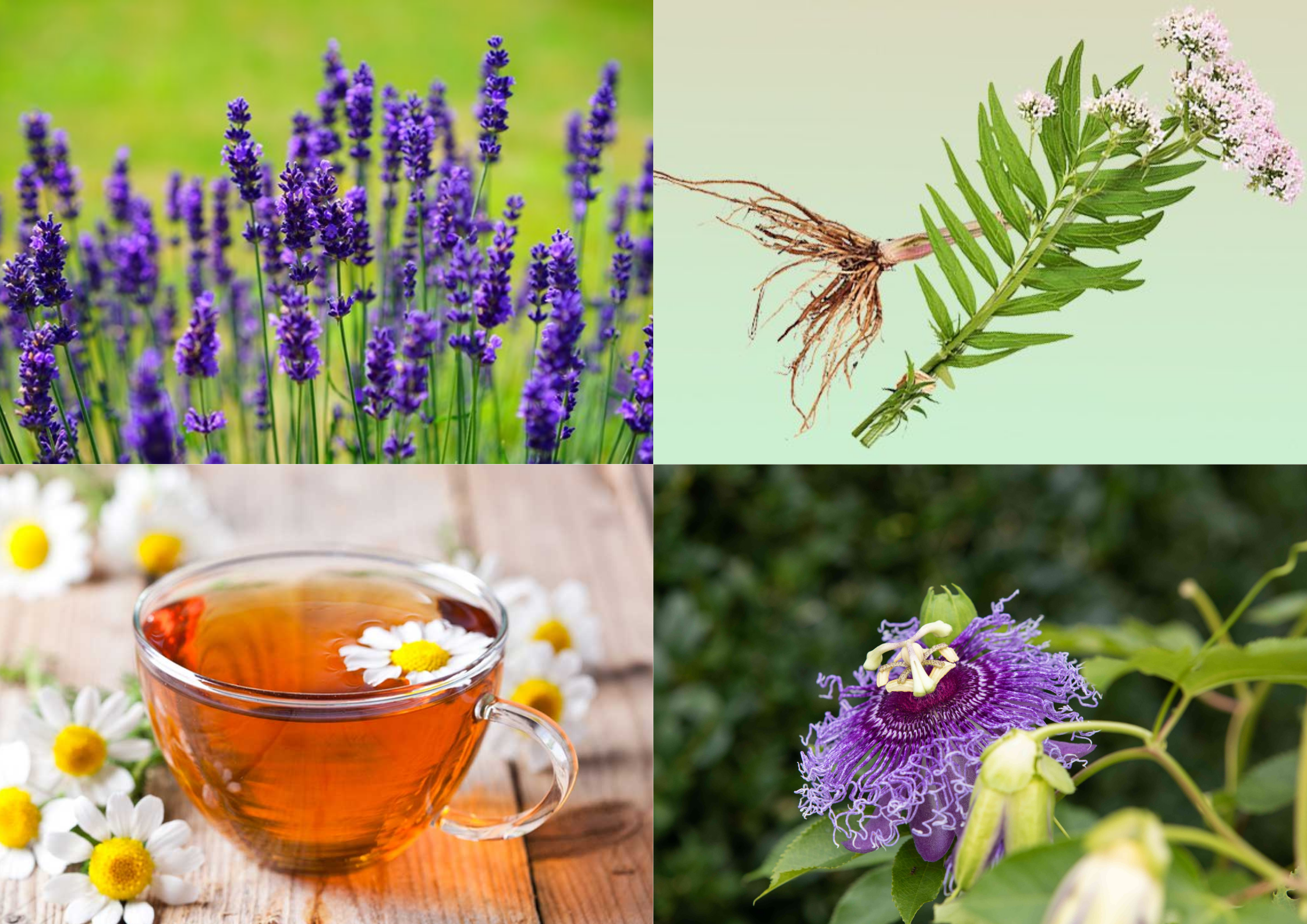 Natuurlijke manieren om de slaapkwaliteit te verbeteren: kruiden, supplementen en levensstijlaanpassingen voor een betere nachtrust